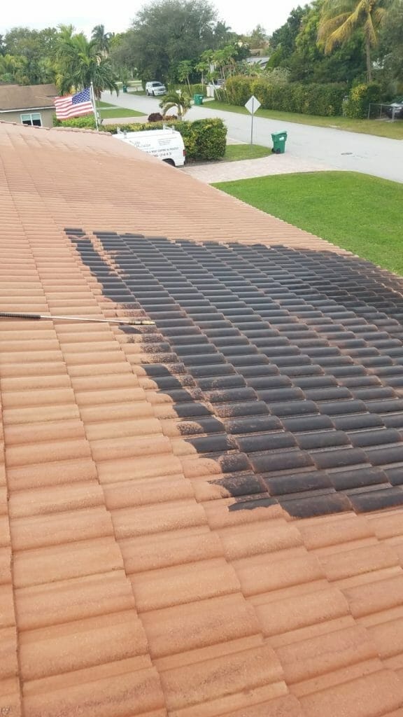 why is roof cleaning necessary