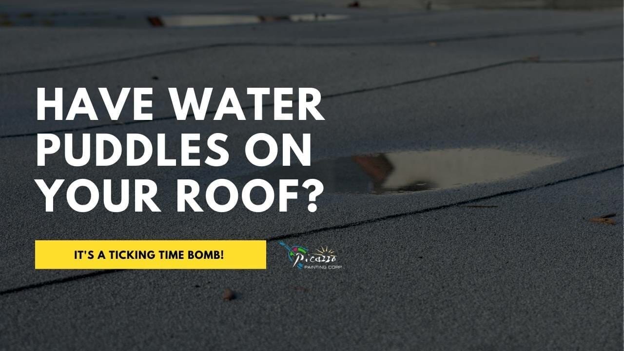 What Causes Ponding Water On Flat Roof? | Picazzo Painting